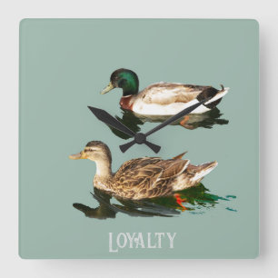 Ducks mallards square wall clock