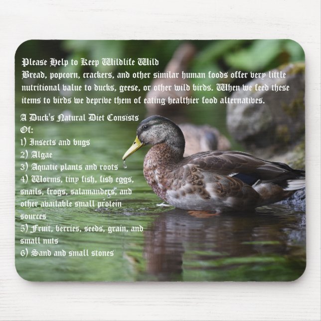 Ducks  mouse pad (Front)