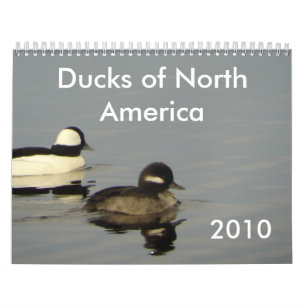 Ducks of North America 2010 Calendar