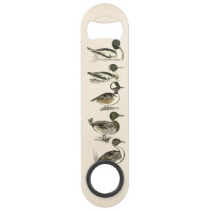 Ducks of North America Illustrations Bar Key