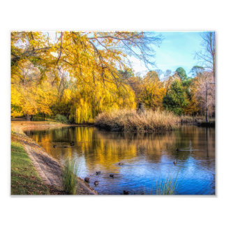 Ducks on Autumn pond Photo Print