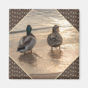 Ducks on Beach Scenic Brown Magnet