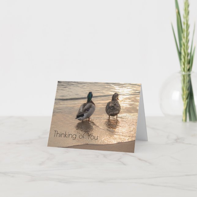 Ducks on Beach Thinking of You notecard (Front)
