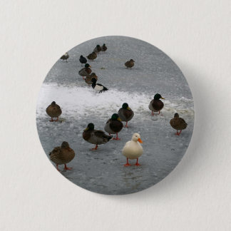 Ducks on Ice 2 Inch Round Button