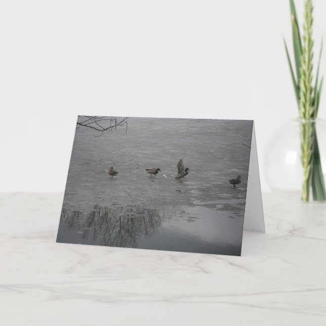 "Ducks on Ice" Thank You Card (Front)