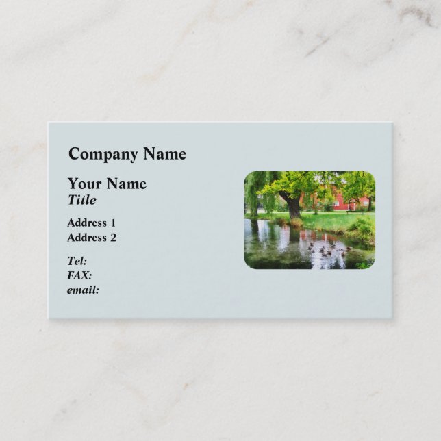 Ducks on Pond Business Card (Front)