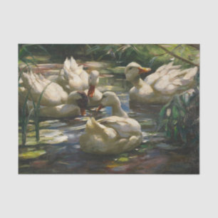 Ducks on the Forest Pond by Alexander Koester Tissue Paper