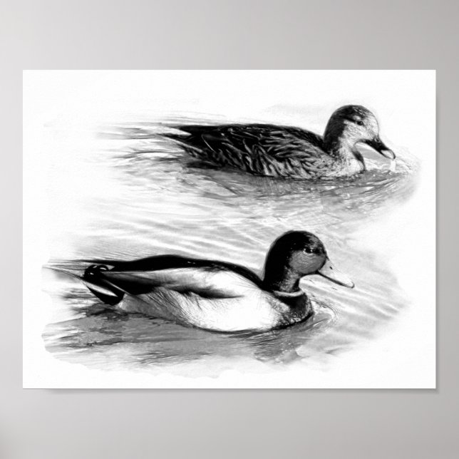 Ducks on the Lake Poster (Front)
