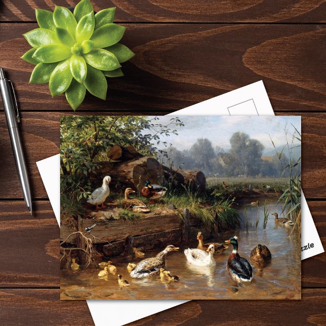 Ducks on the River Carl Jutz Postcard (Creator Uploaded)