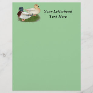 Ducks: Pastel Calls