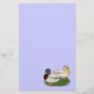 Ducks: Pastel Calls Stationery