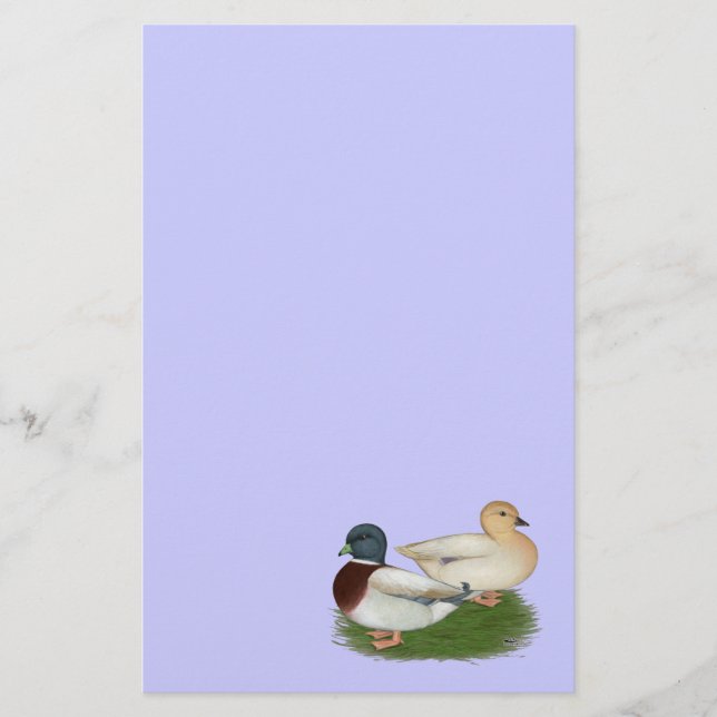 Ducks:  Pastel Calls Stationery (Front)