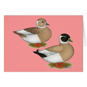 Ducks: Penciled Calls