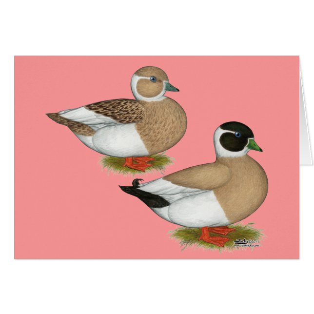 Ducks:  Penciled Calls (Front Horizontal)