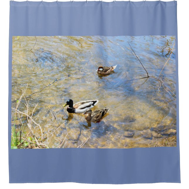 Ducks Photo (Front)