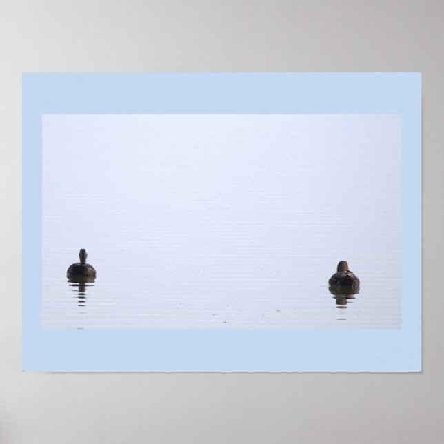 Ducks Photo Poster (Front)