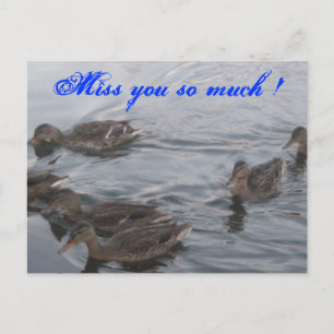 DUCKS POSTCARD