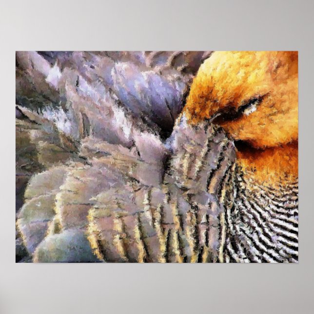 DUCKS POSTER (Front)