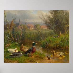 Ducks Poster