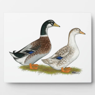 Ducks:  Silver Appleyard Plaque