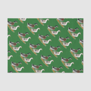 Ducks: Silver Appleyard Tissue Paper