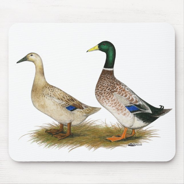 Ducks:  Silver Welsh Harlequin Mouse Pad (Front)