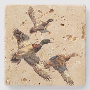 Ducks Stone Coaster