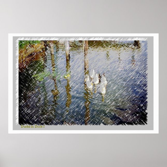 Ducks Watercolor Print (Front)