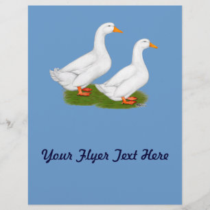Ducks:  White Pekins Flyer