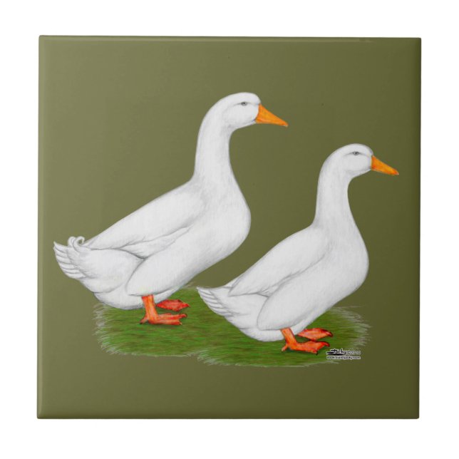 Ducks:  White Pekins Tile (Front)