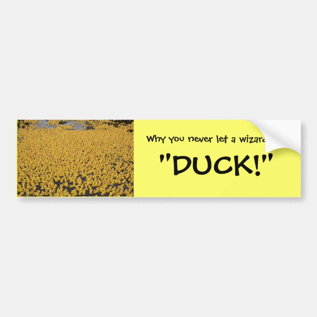 ducks, Why you never let a wizard yell, "DUCK!" Bumper Sticker (Front)
