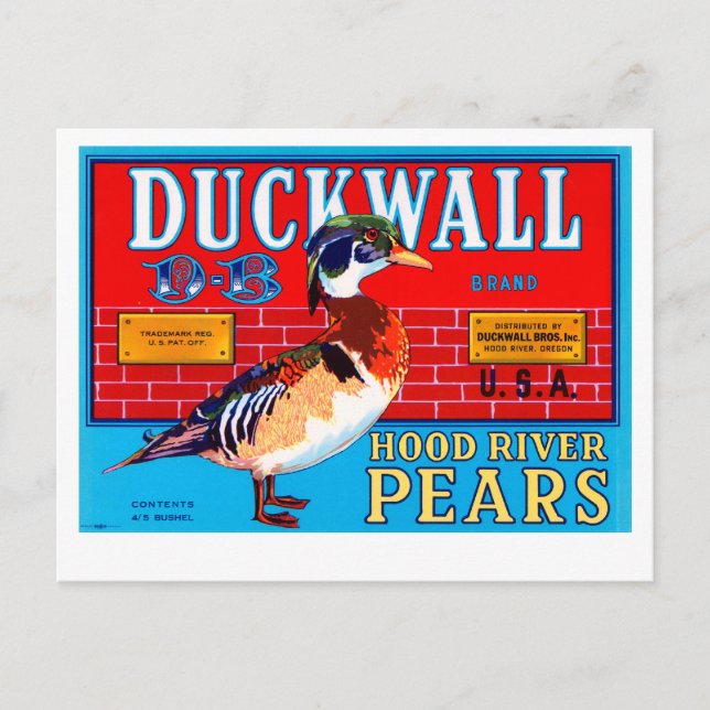 Duckwall Hood River Pears Postcard (Front)