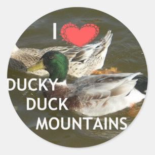 Ducky duck mountains. classic round sticker