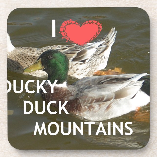 Ducky duck mountains. coaster (Front)