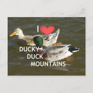 Ducky duck mountains. postcard