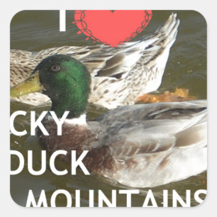Ducky duck mountains. square sticker