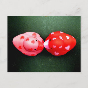 Ducky Love Postcard