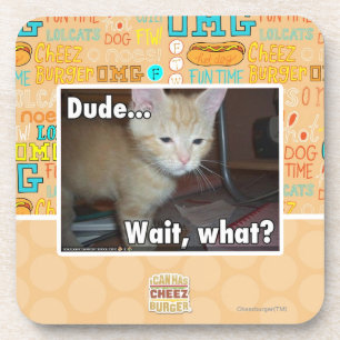 Dude Coaster