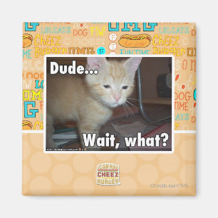 Dude Magnet