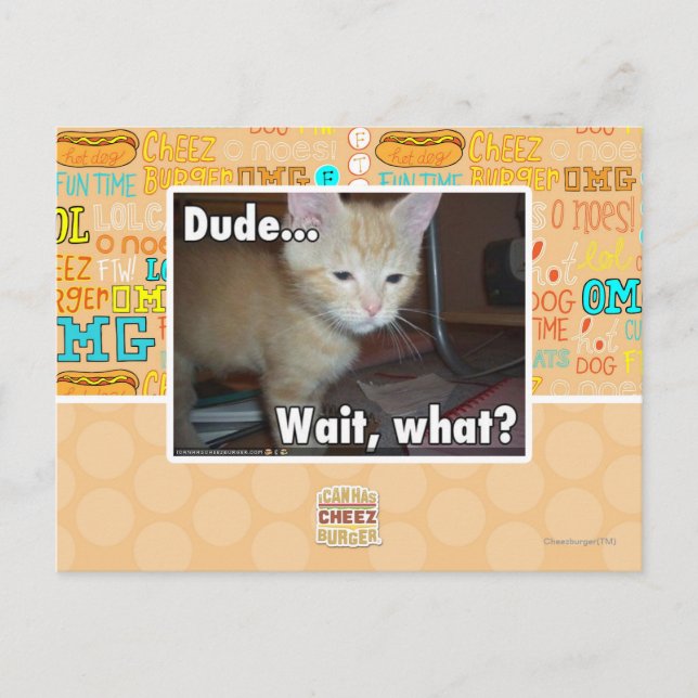 Dude Postcard (Front)