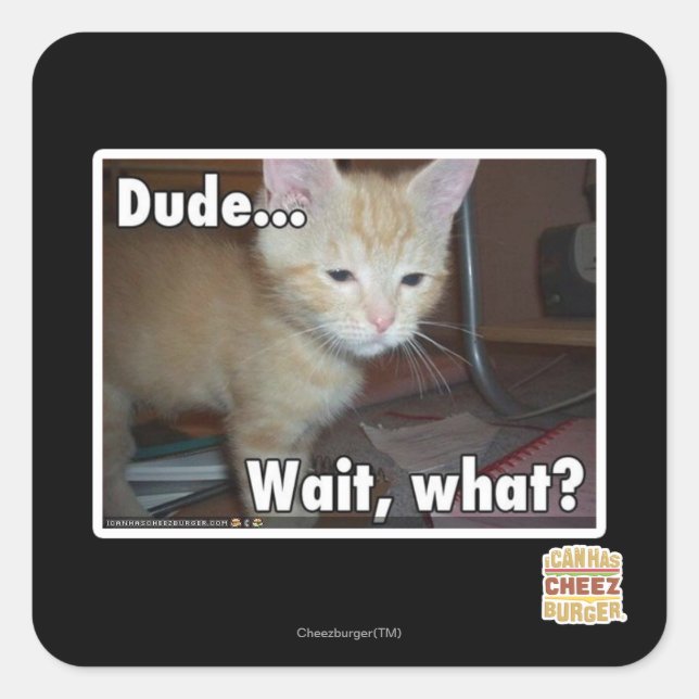 Dude Square Sticker (Front)