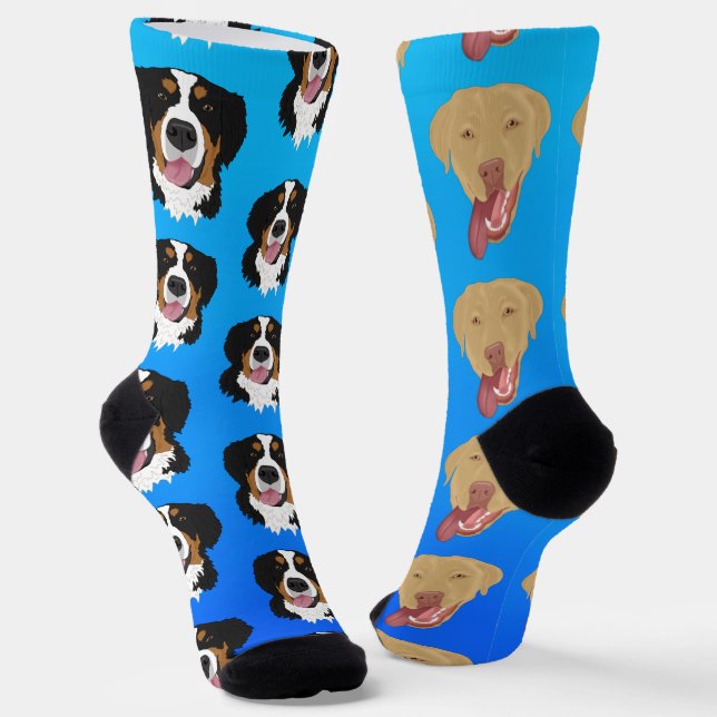 Dudley Labrador and Bernese Mountain Dog Socks (Angled)