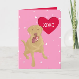 Dudley Labrador Valentines XOXO Thank You Card