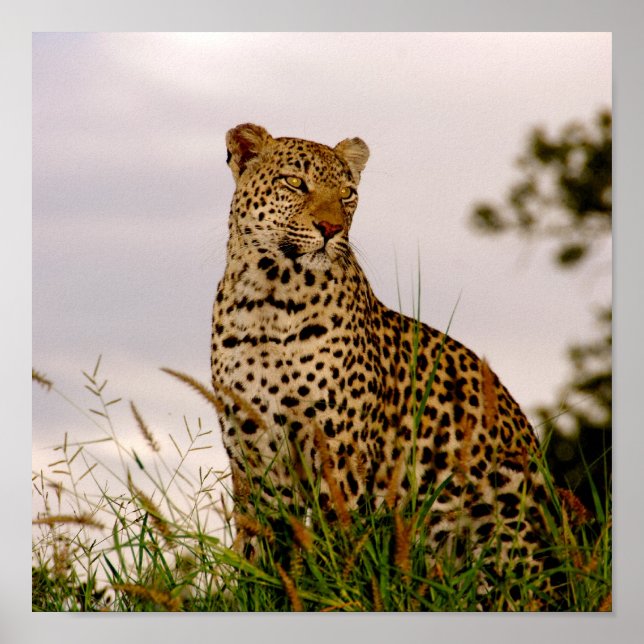 Dudley River Bank Poster (Front)