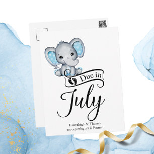 Due in July Little Peanut Baby Boy Elephant Postcard