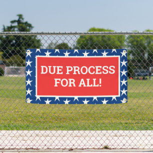 DUE PROCESS FOR ALL! Banner