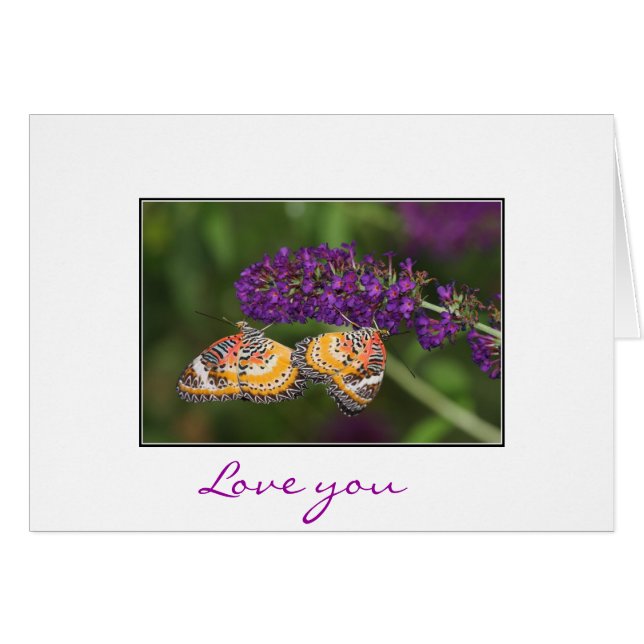 Duet Lacewing (Devant horizontal)