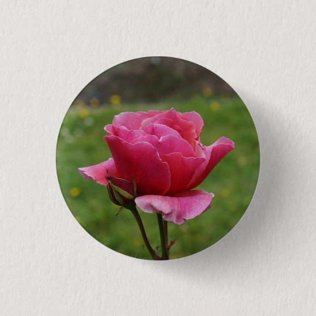 Duet Rose #1 Pinback Button (Front)