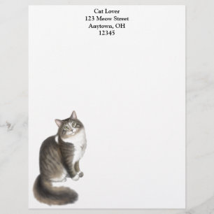 Duffy the Maine Coon Cat Letterhead