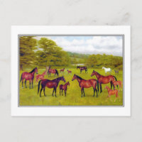 Duke of Westminster's Mares and Foal